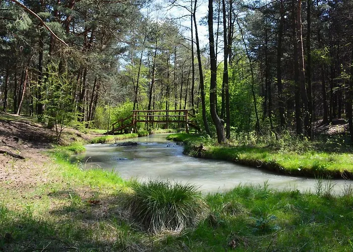 Отель Dom Turysty 